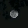 eloo.0823