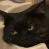 evllinlv