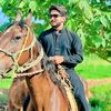 haider00861