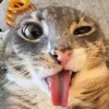 rttaylr