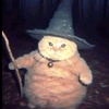 fatwizardcat