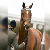 smcclelland95