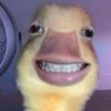 mmijjaaaa