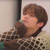 _blushchae_