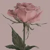 kristina.kesegic