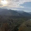 barzanii674