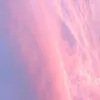 user4848x