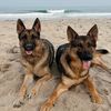 Vienna&Lanikai