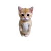 nekocare39