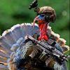 gaming_turk3y