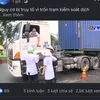 nguyenquang8055