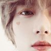 gentle.glimpse