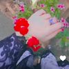 zidi_girl729