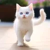 dyxhin