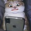 username_u1002