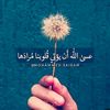 user4261685288679