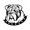 serdar.bulldogs