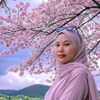 helda.helda041