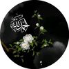 afaqarshad4367gmail.com