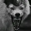 amarildo_valona7777