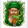 555crazy...leprechaun555