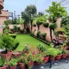 saif.aldulaimi0