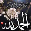 user2679909847240