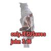 ojsjohn3.16