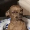 ......yrrtm