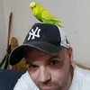 scoots360