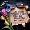 mariaelenabb
