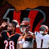 bengals_fan_account
