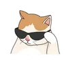 mr.gato167