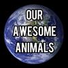 Our Awesome Animals