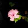 guidance_876