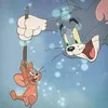 🐱Tom &Jerry🐭