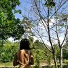 binibining_lour