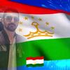 alishbabak349