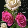 .aydaelshfy