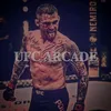 ufc_arkade