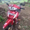 fd .Ythuy Idol