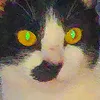 xxidyn