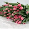 adilet_694