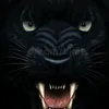 code47adu