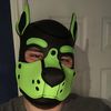 rapaxthewolf