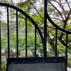 vietnguyenhoang63