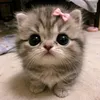 aekabyy