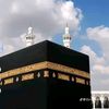 alfatehali4