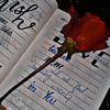 noor_shah565