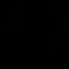 alighcr7